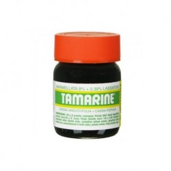 Pfizer Tamarine Marmellata 260 g per Stitichezza 