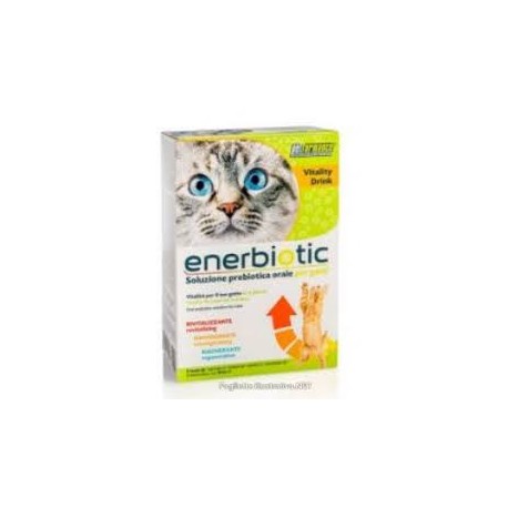  Petformance Enerbiotic Gatto