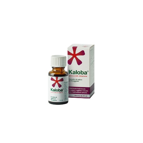 Schwabe Kaloba Gocce Orali 20 ml 20 mg/1,5 ml per Raffreddore