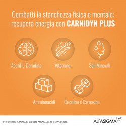 Alfasigma Carnidyn Plus Integratore Energizzante 20 Bustine