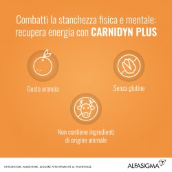 Alfasigma Carnidyn Plus Integratore Energizzante 20 Bustine