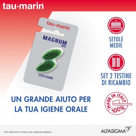 Alfasigma Taumarin Testina Ricambio Setole Medie Magnum