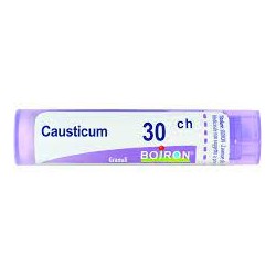 CAUSTICUM*30CH 80GR 4G