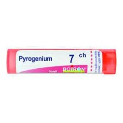  Pyrogenium 7ch Gr