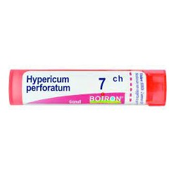  Hypericum Perfor 7ch Gr