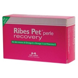 N. B. F. Lanes Ribes Pet Recovery 60 Perle