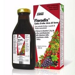 Salus Floradix integratore di ferro e vitamine 250 ml
