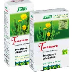 Tarassaco Succo Integratore bio utile per funzionalità epatica e digestiva 200 ml