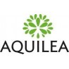 Aquilea