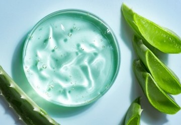 I Benefici dell'Aloe Vera