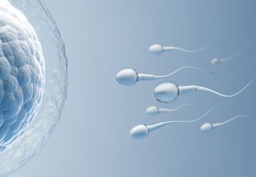 Quali sono i migliori integratori per la fertilità maschile?