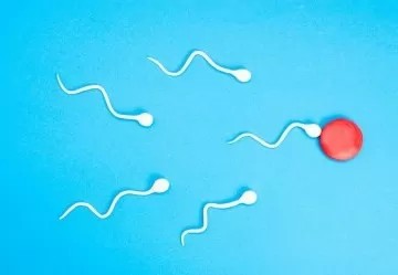 Infertilità maschile: rimedi e consigli