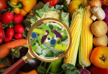 Intossicazione alimentare: cause, prevenzione e rimedi utili per l’estate