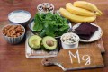 Il Magnesio: un prezioso alleato naturale del nostro organismo